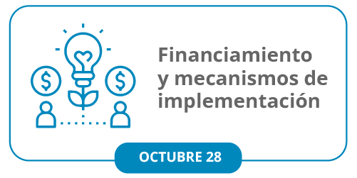 octubre 28 - finaciamiento y mecanisom de implementación