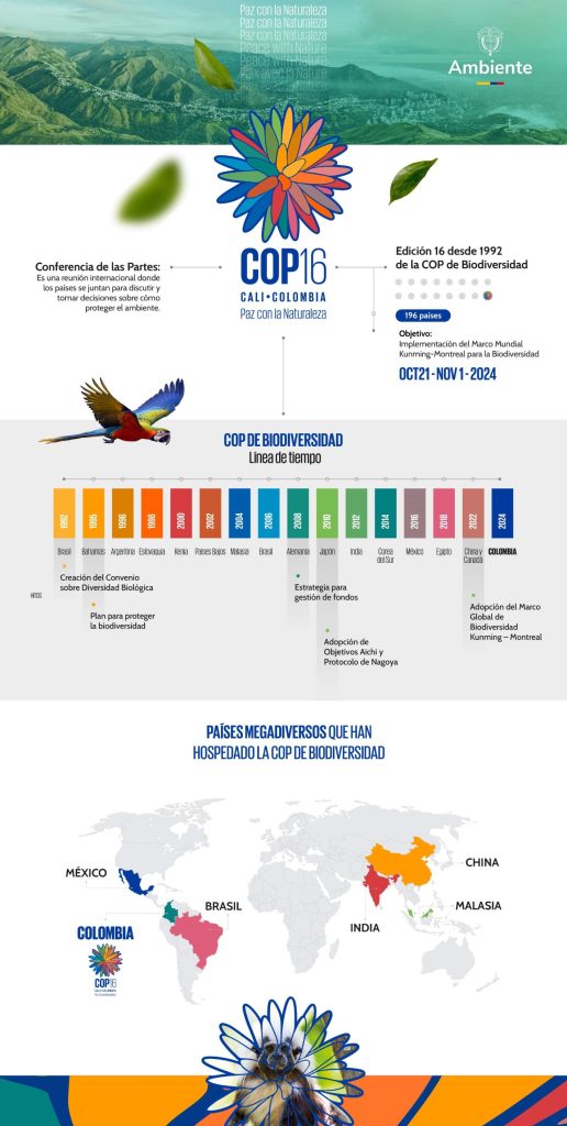 Infografía sobre la historia de las COP y su línea de tiempo. Este año, la COP16 se realizará en Cali. 