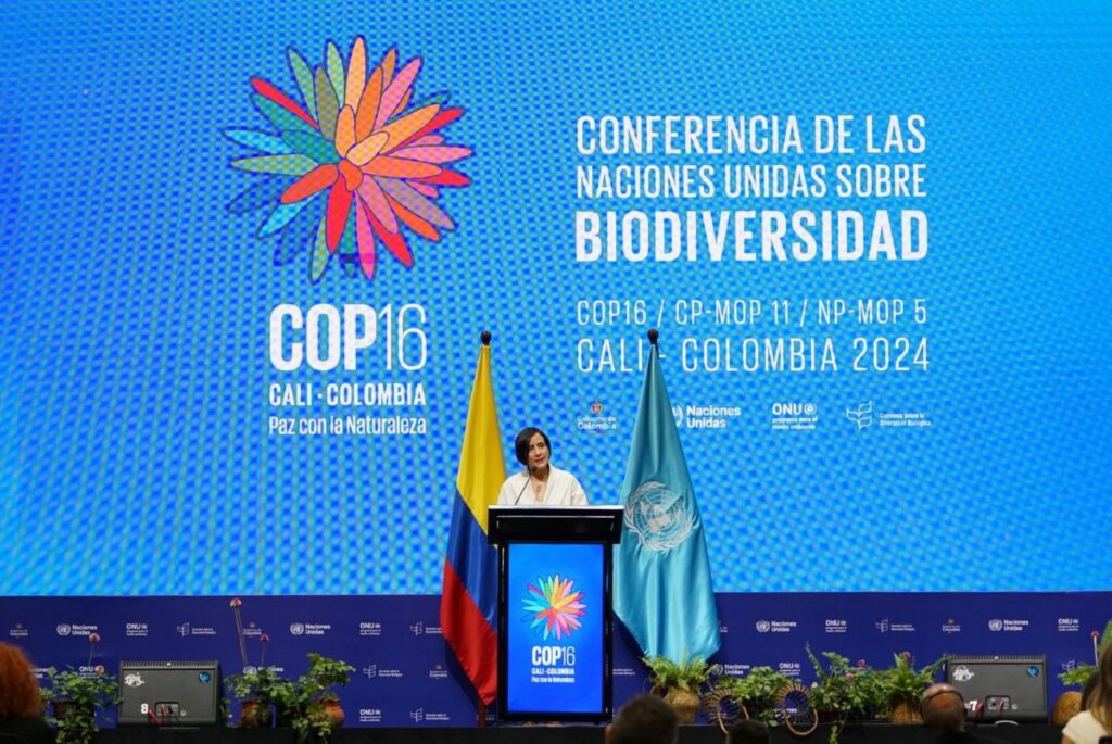 La ministra de Ambiente, Susana Muhamad, desde un atril con las banderas de Colombia y la ONU, se pronuncia en su discurso de apertura de la COP16.