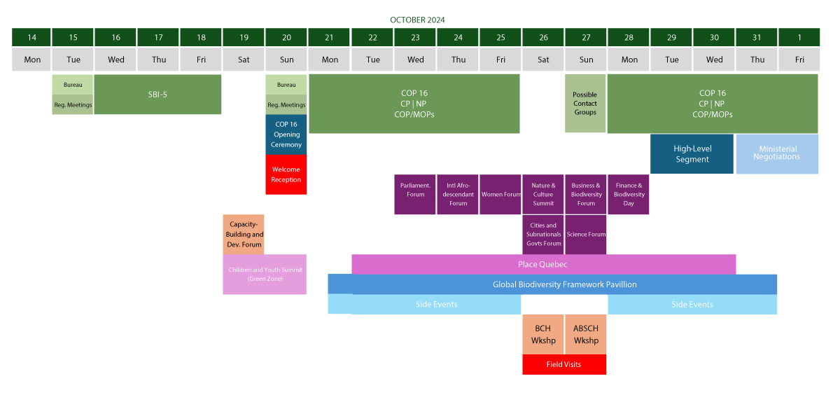 Agenda oficial de la COP16 - Zona Azul, desde el 14 de octubre al 1 de noviembre.