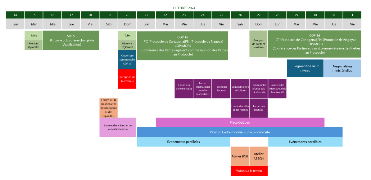 Agenda oficial de la COP16 - Zona Azul, desde el 14 de octubre al 1 de noviembre.